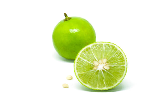 fetta di frutta al lime verde su sfondo bianco - lemon portion cross section isolated foto e immagini stock