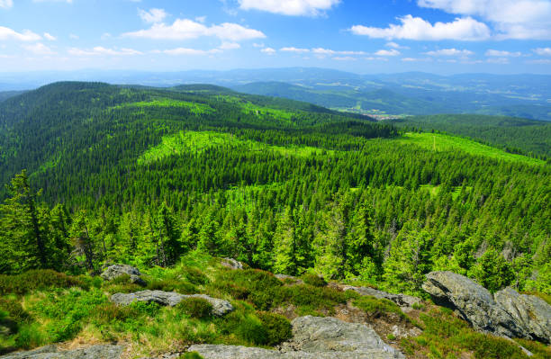 Summer landscape in National park Bayerische Wald, view from the mountain Grosser Arber, Germany.