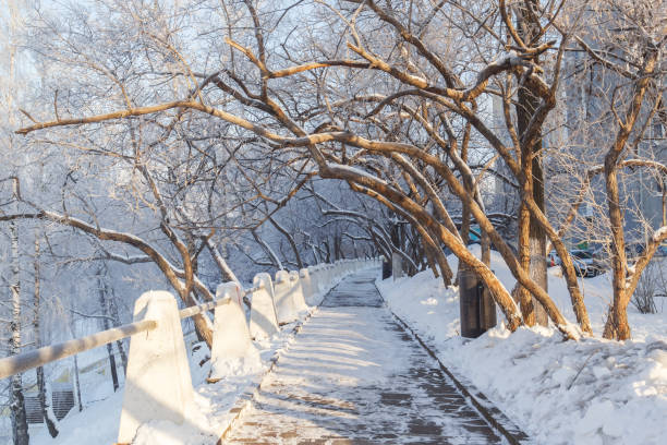 istock Unusual alley in winter 889284168