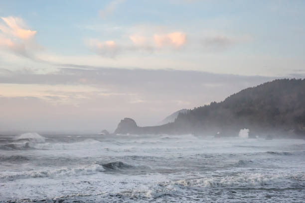 istock Lagoon Creek shore near Klamath 889309798
