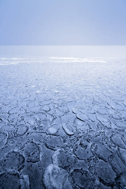 istock mist on a frozen lake 889312700