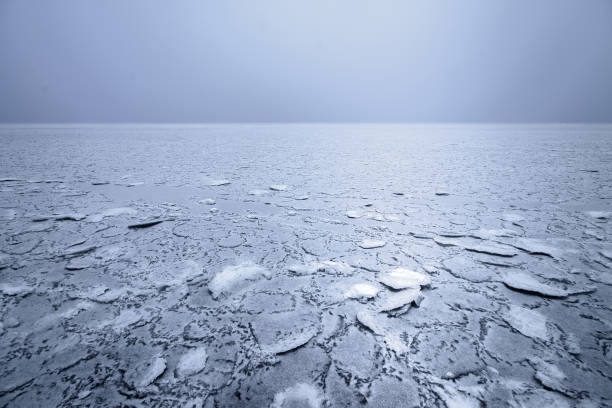 istock mist on a frozen lake 889312716