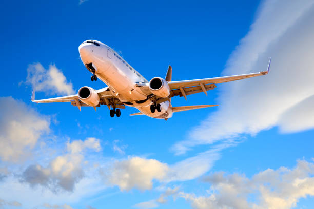 Boeing 737 landing from beautiful summer evening sky.
