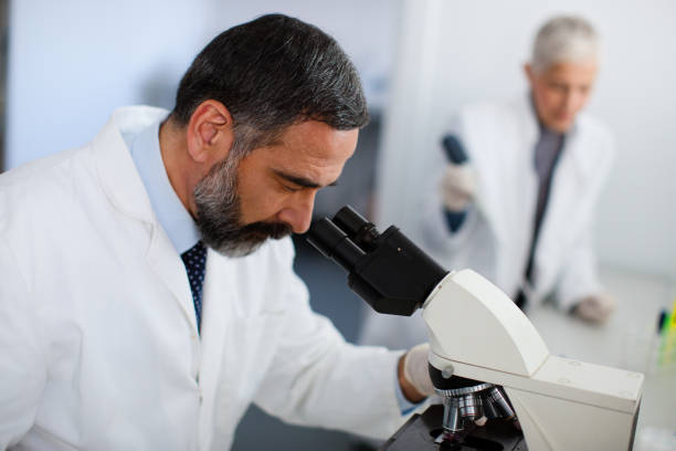istock Senior male scientist doing research 889381350