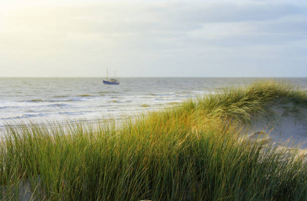 Late afternoon, crab cutter in front of Amrum, North Sea, Northern Germany