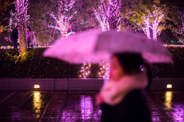 boże narodzenie w japonii - abstrakcyjne obrazy omotesando (boże narodzenie) światła - japanese maple leaf water japan zdjęcia i obrazy z banku zdjęć