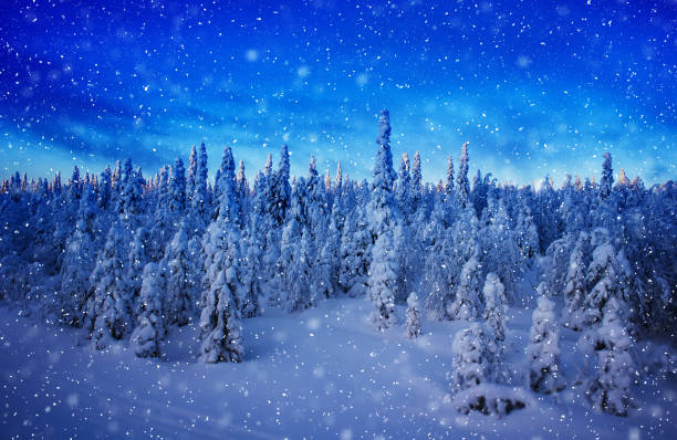 istock Snowing in Finnish woods landscape 889411444