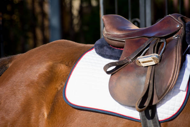 istock Close Up Of A Leather Brown Saddle 889417878