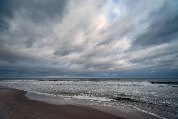 istock stormy landscape on the beach 889417980