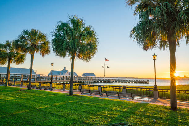 istock The Waterfront Park in Charleston 889418268