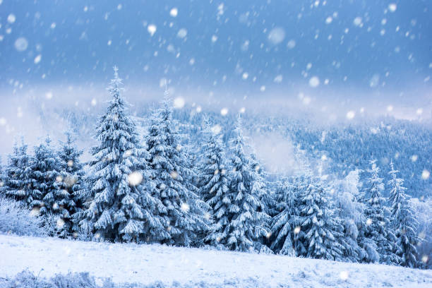 istock Christmas background with snowy fir trees 889418480