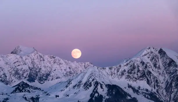 full moon rise over snowy winter landscape in the Swiss Alps near Klosters with a beautiful rose colored sky