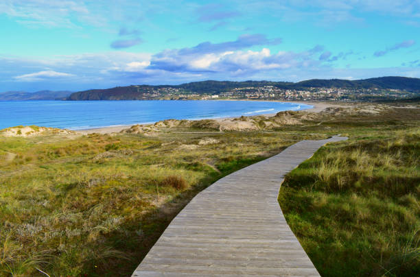 istock Wooden walkway to the beach 889445806