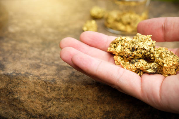 the pure gold ore found in the mine is in the hands of men. - gold digger imagens e fotografias de stock