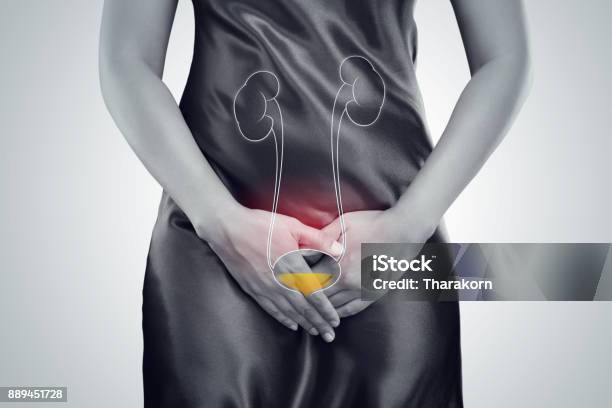 Woman With Hands Holding Pressing Her Crotch Lower Abdomen Medical Or Gynecological Problems Healthcare Concept Stock Photo - Download Image Now