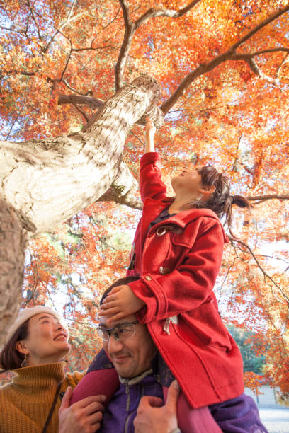 istock Young family enjoying autumn under Japanese maple tree 889454270
