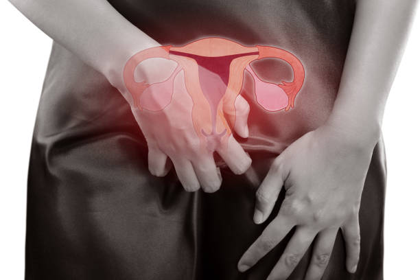 The Photo Of Uterus Is on The Woman's Body, Female Are Scratching The Vagina, Itching Cervix, Uterus, Female Anatomy Concept The Photo Of Uterus Is on The Woman's Body, Female Are Scratching The Vagina, Itching Cervix, Uterus, Female Anatomy Concept ringworm photos stock pictures, royalty-free photos & images