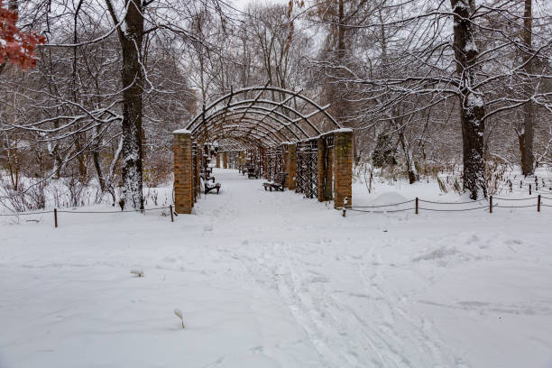 istock Winter in the city park 889454406