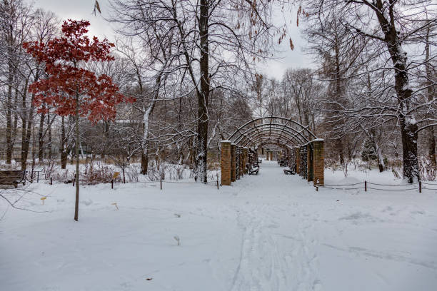 istock Winter in the city park 889454426