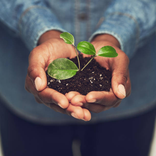 Dreams need to be nurtured Cropped shot of an unrecognizable man holding a budding plant man holding earth stock pictures, royalty-free photos & images