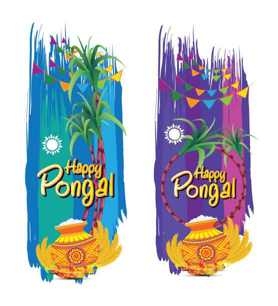 Pongal Festival Banner Design Template Illustration of Pongal Festival Banner Design Template happy pongal pics stock illustrations