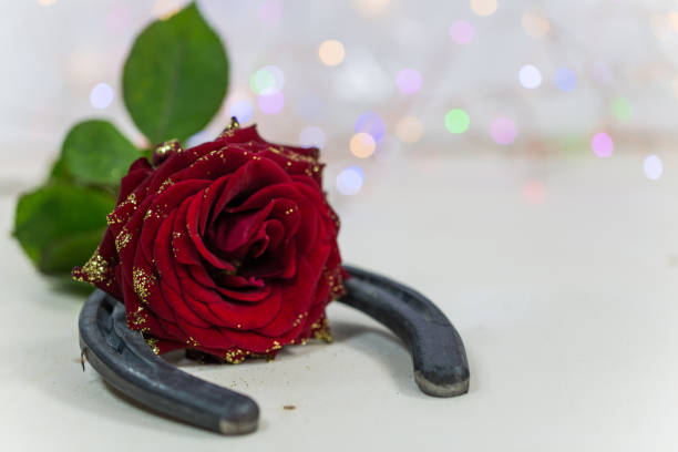 Horseshoe with red rose, good luck charm, birthday