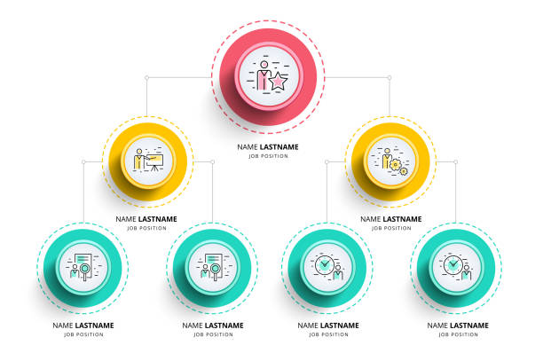 Business hierarchy organogram chart infographics. Corporate organizational structure graphic elements. Company organization branches template. Modern vector info graphic tree layout design. Business hierarchy organogram chart infographics. Corporate organizational structure graphic elements. Company organization branches template. Modern vector info graphic tree layout design. hierarchy stock illustrations