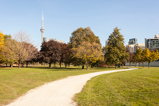 Beautiful green park in the city of Toronto, Canada