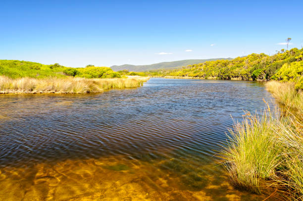 istock Little Beach Creek - Chain of Lagoons 889480272