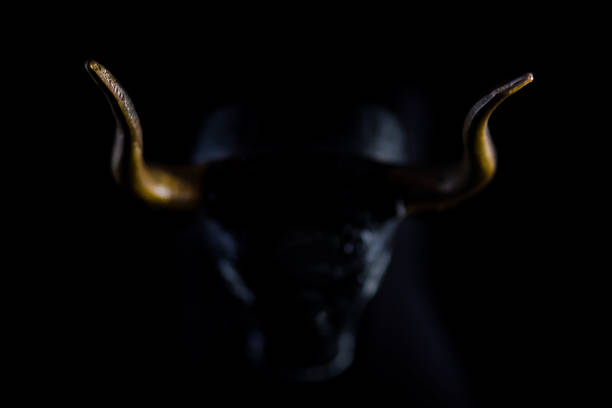 jurar Lesionarse polla 22.900+ Toros Para Fondo De Pantalla Fotografías de stock, fotos e imágenes libres de derechos - iStock jurar Lesionarse polla 22.900+ Toros Para Fondo De Pantalla Fotografías de stock, fotos e imágenes libres de derechos - iStock