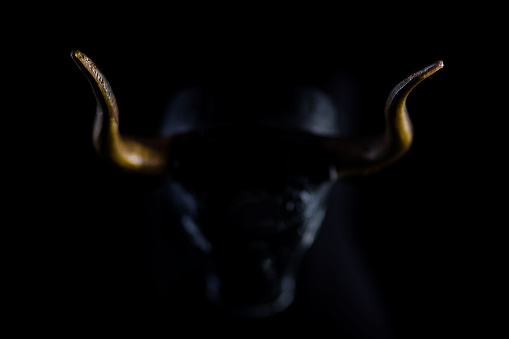 Bull in low key light, focus on horn