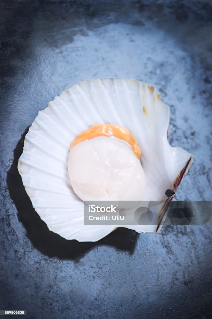 Fresh scallop in white shells on a dark textural background. Sea delicacies Fresh scallop in white shells on a dark textural background. Sea delicacies. Vertical format Animal Shell Stock Photo