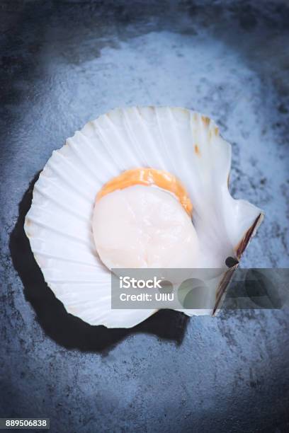 Fresh Scallop In White Shells On A Dark Textural Background Sea Delicacies Stock Photo - Download Image Now