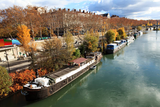 istock on the banks of the river 889510358