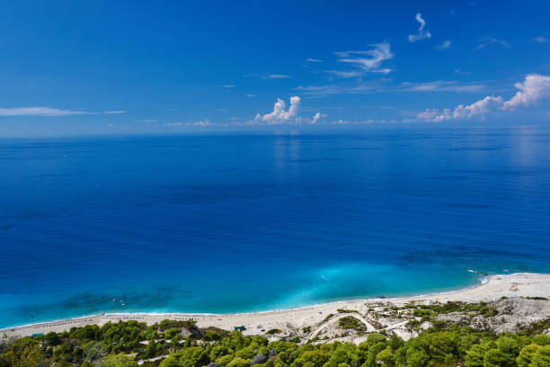 istock pine forest and beach by the mediterranean sea 889519094