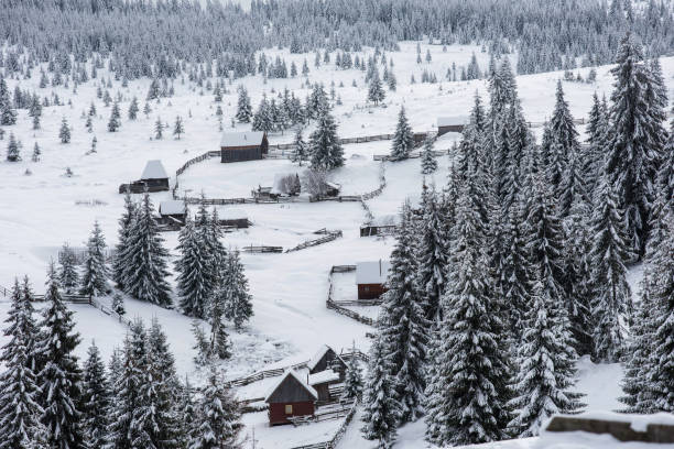 istock Small winter village in the mountains 889521734