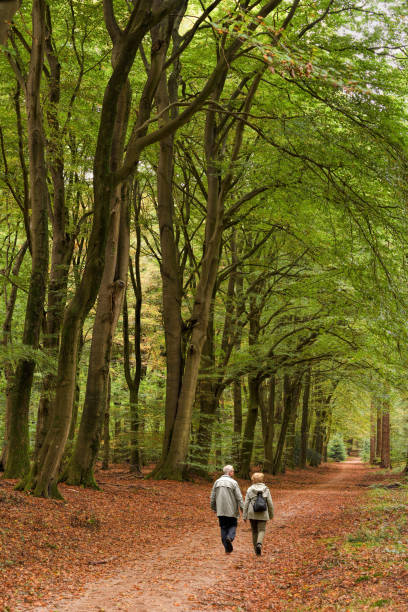 istock Rear view on senior couple walking through forest in autumn 889529958