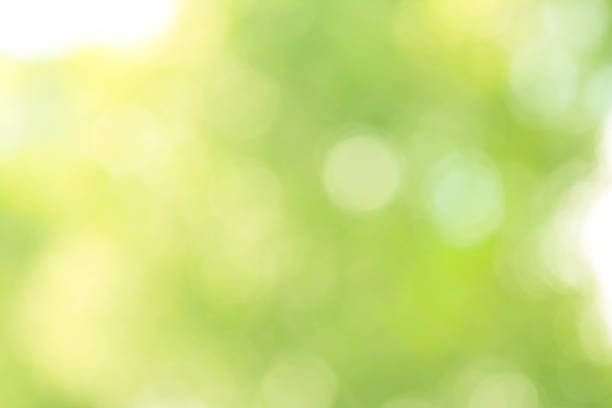 istock Natural Pastel Green and Yellow Abstract Bokeh Background 889533272