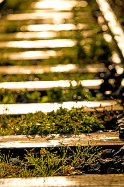 old rails in soft autumnal morning sun