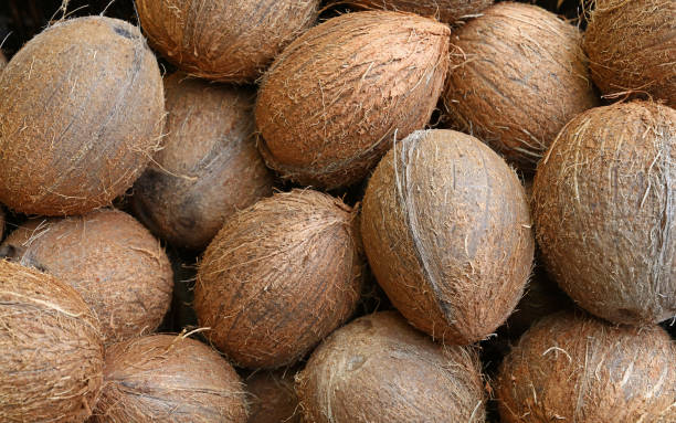 istock Full Frame Shot Of Coconuts For Sale 889544982