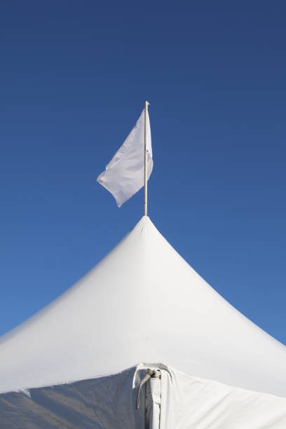 istock Low Angle View Of Flag Against Blue Sky 889553050