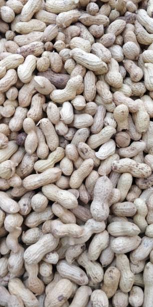 erdnüsse-hintergründe - peanut legume textured effect fat stock-fotos und bilder