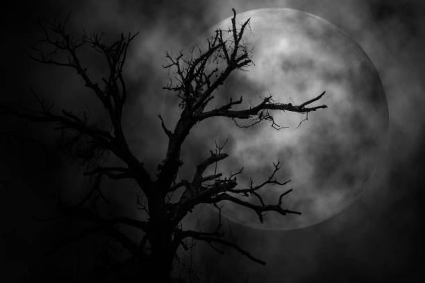 istock Low Angle View Of Silhouette Bare Tree Against Moon At Night 889555954