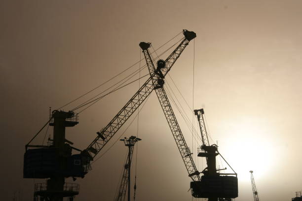 istock Low Angle View Of Crane Against Sky During Sunset 889564302