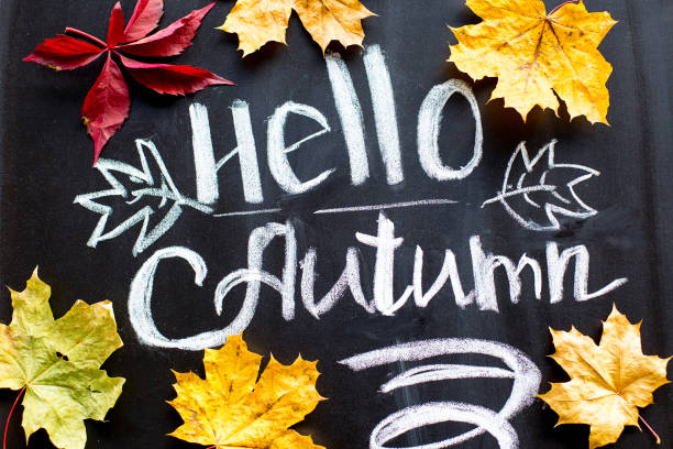 istock Background with autumn yellow leaves 889565468