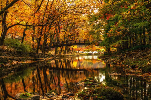 istock autumn reflections in baegyangsa temple 889567880