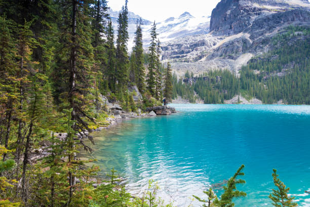 istock Lake O'hara in the Yoho national Park 889570166
