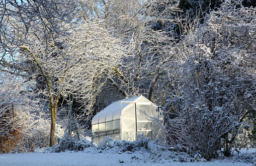 Greenhouse glowing in the sunshine surrounded by snow