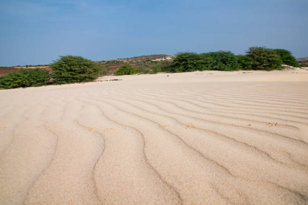 viana desert north west region of boa vista, cape verde. the sand has been blown in from the sahara desert - sub saharan africa imagens e fotografias de stock