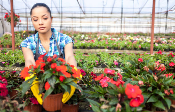 istock Woman in greenhouse 889576920